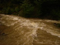 2013-06-01_Regina-F-Rau_Staffelalm_Hochwasser (061).JPG